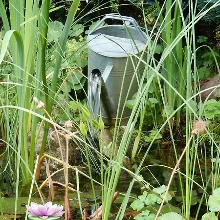 Διαμέρισμα Apart-alpin Santa Isabel