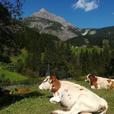 Apart-alpin Apartment *