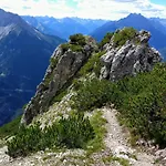 Apart-alpin